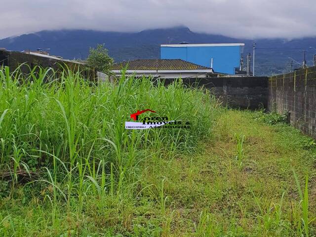 Terreno para Venda em São Vicente - 5