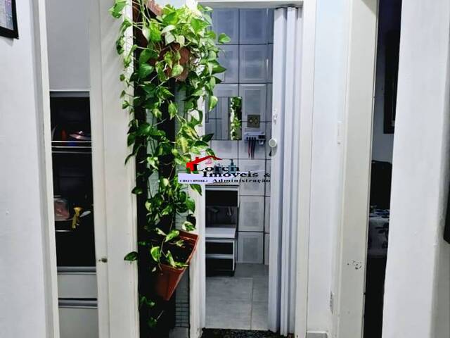 Apartamento para Venda em São Vicente - 4